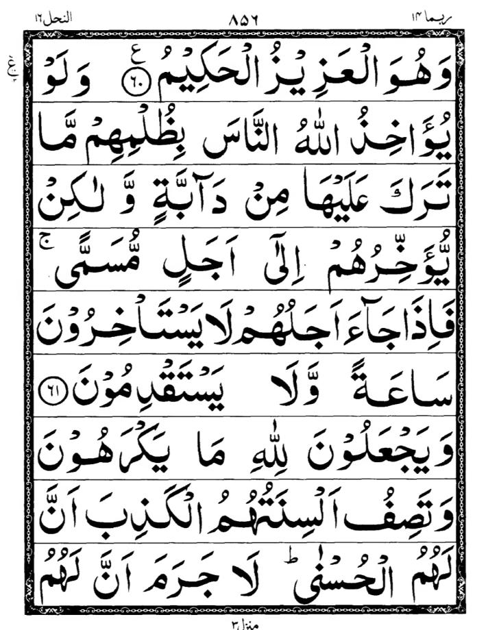 Quran Page