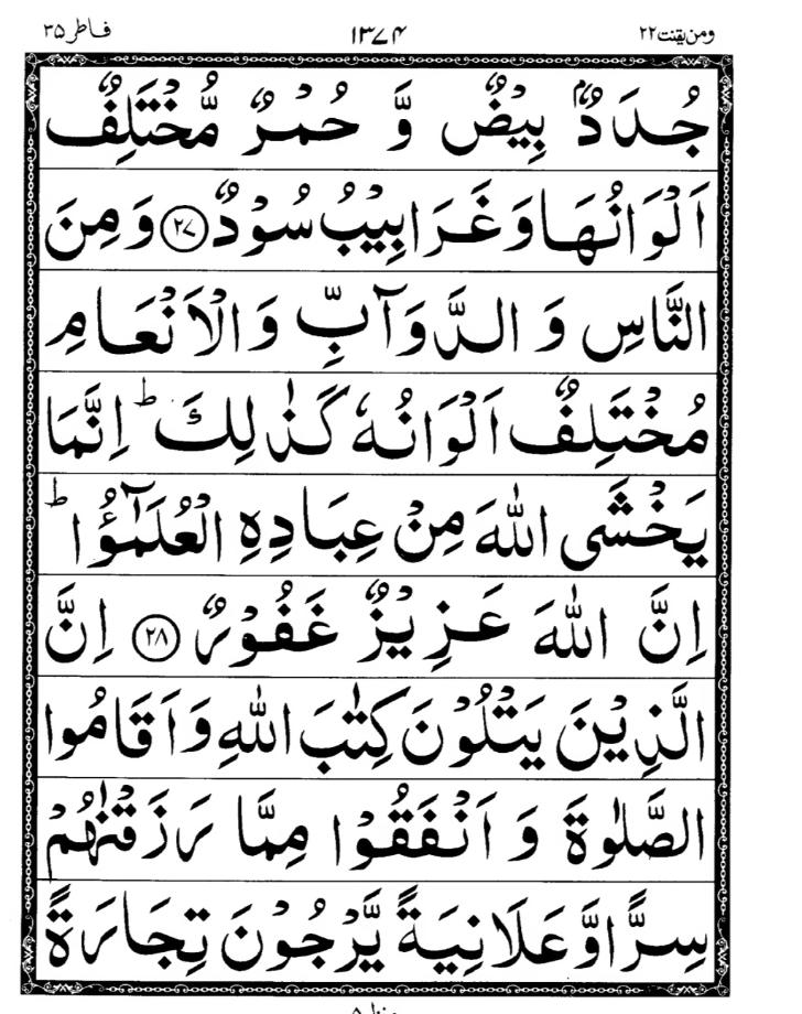 Quran Page