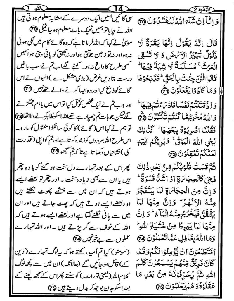 Quran Page - 14