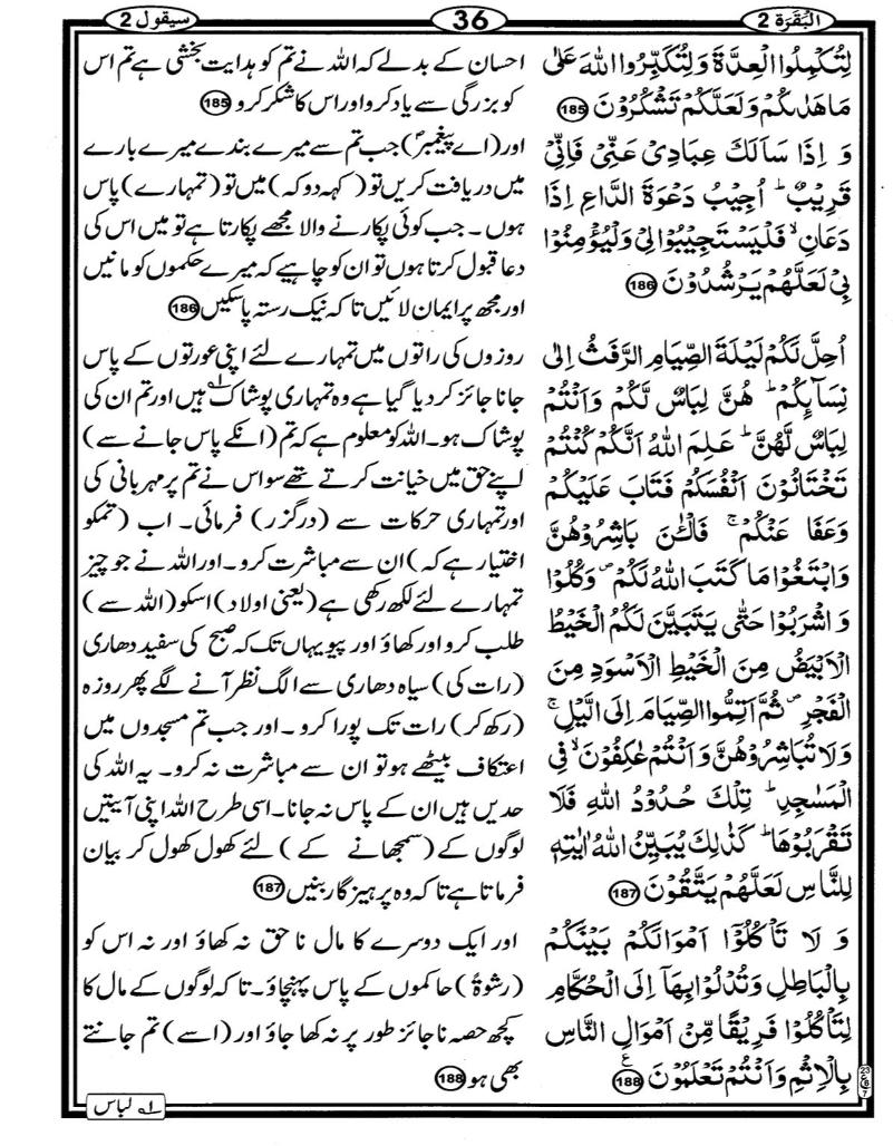 Quran Page - 36