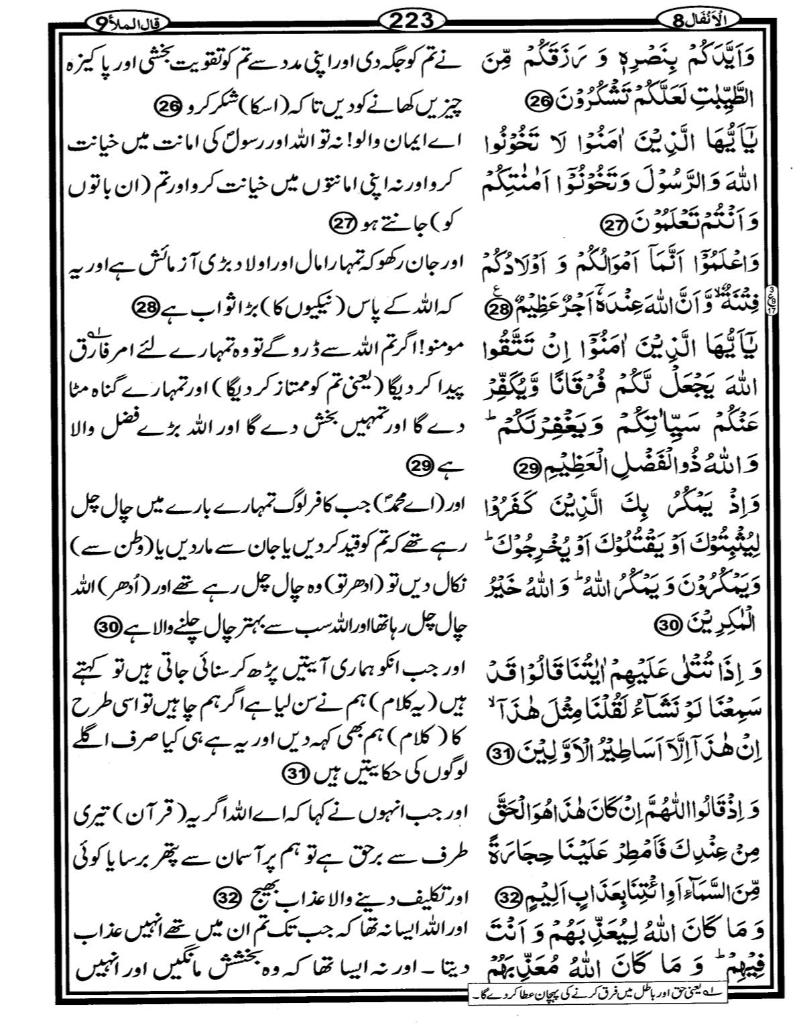 Quran Page - 223
