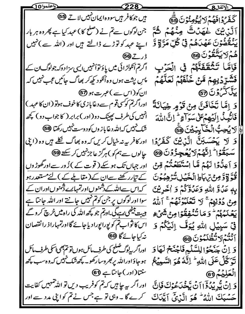 Quran Page - 228