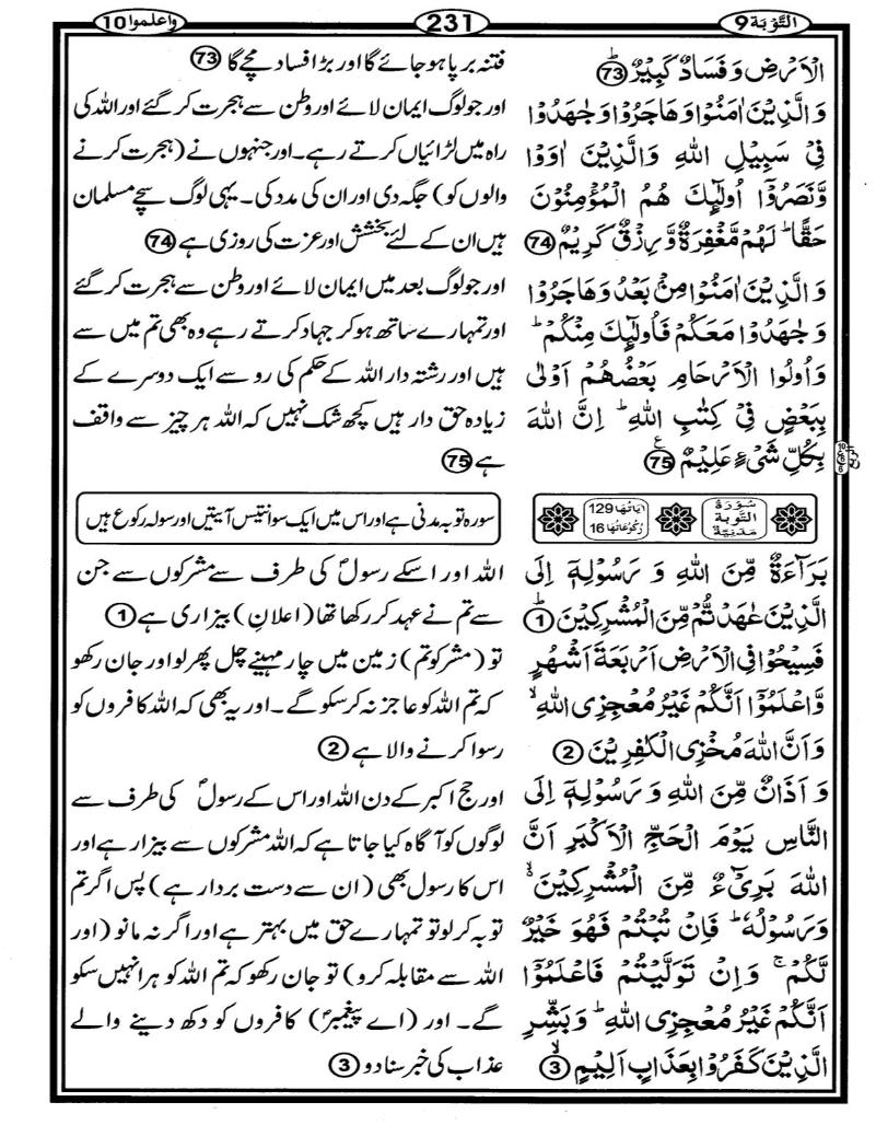 Quran Page - 231