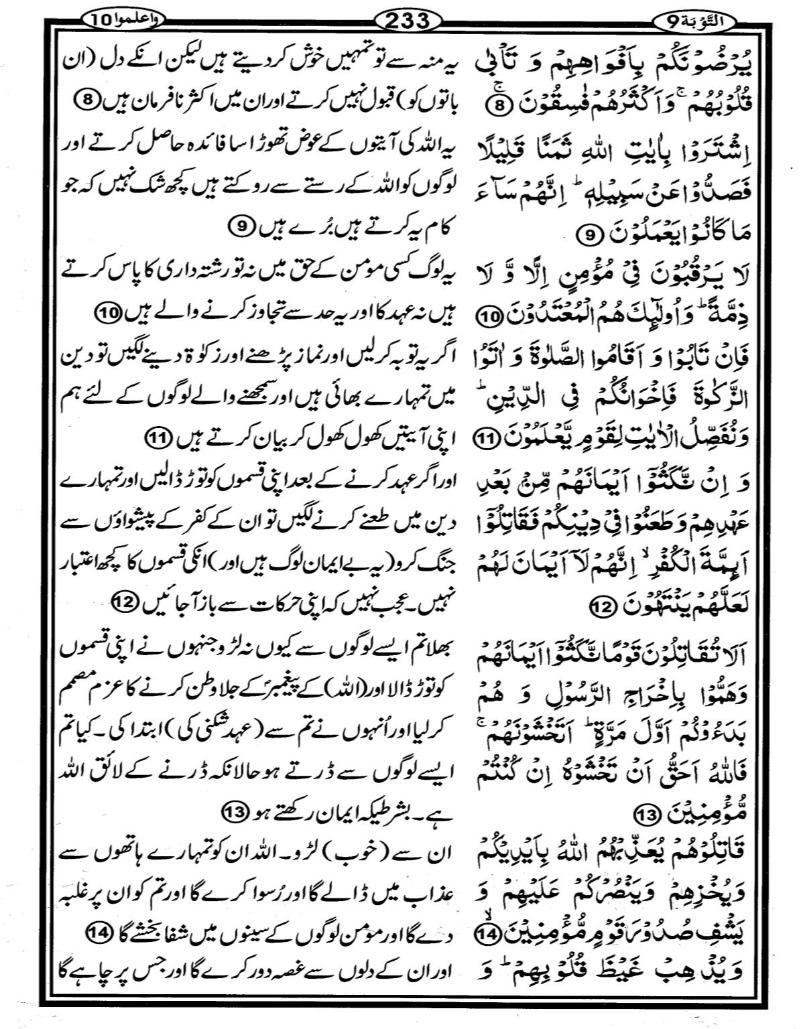 Quran Page - 233