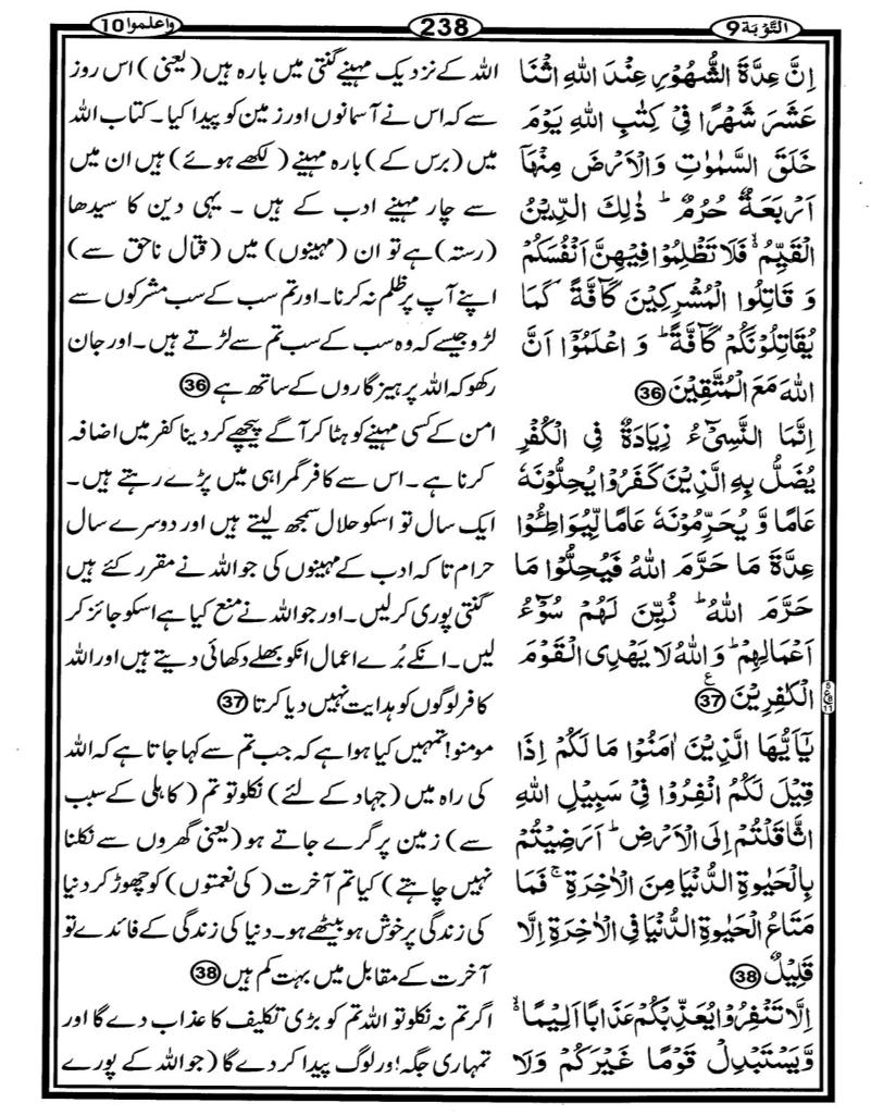 Quran Page - 238