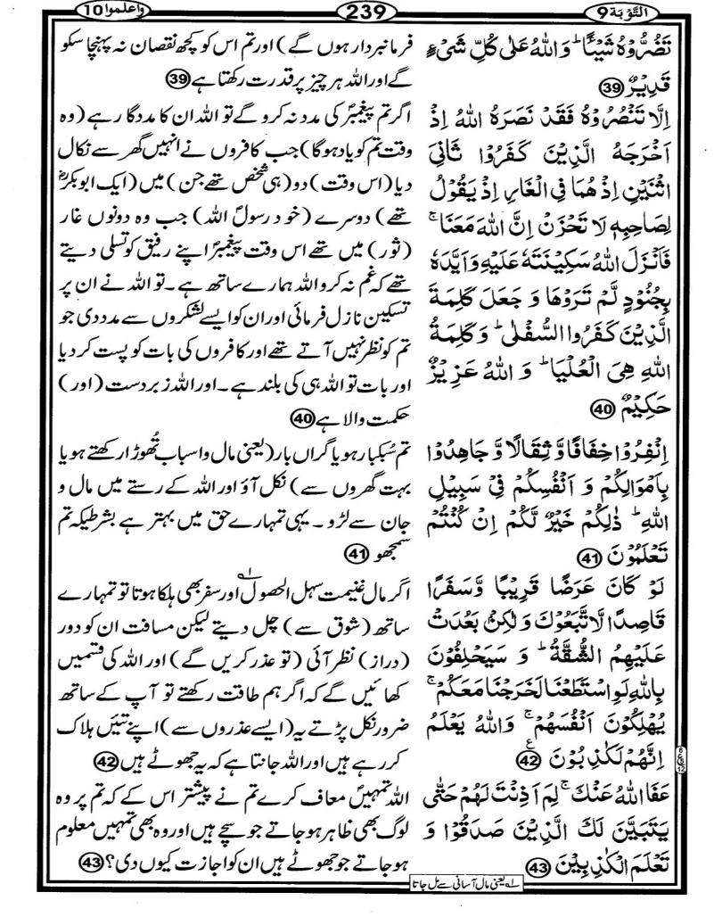 Quran Page - 239
