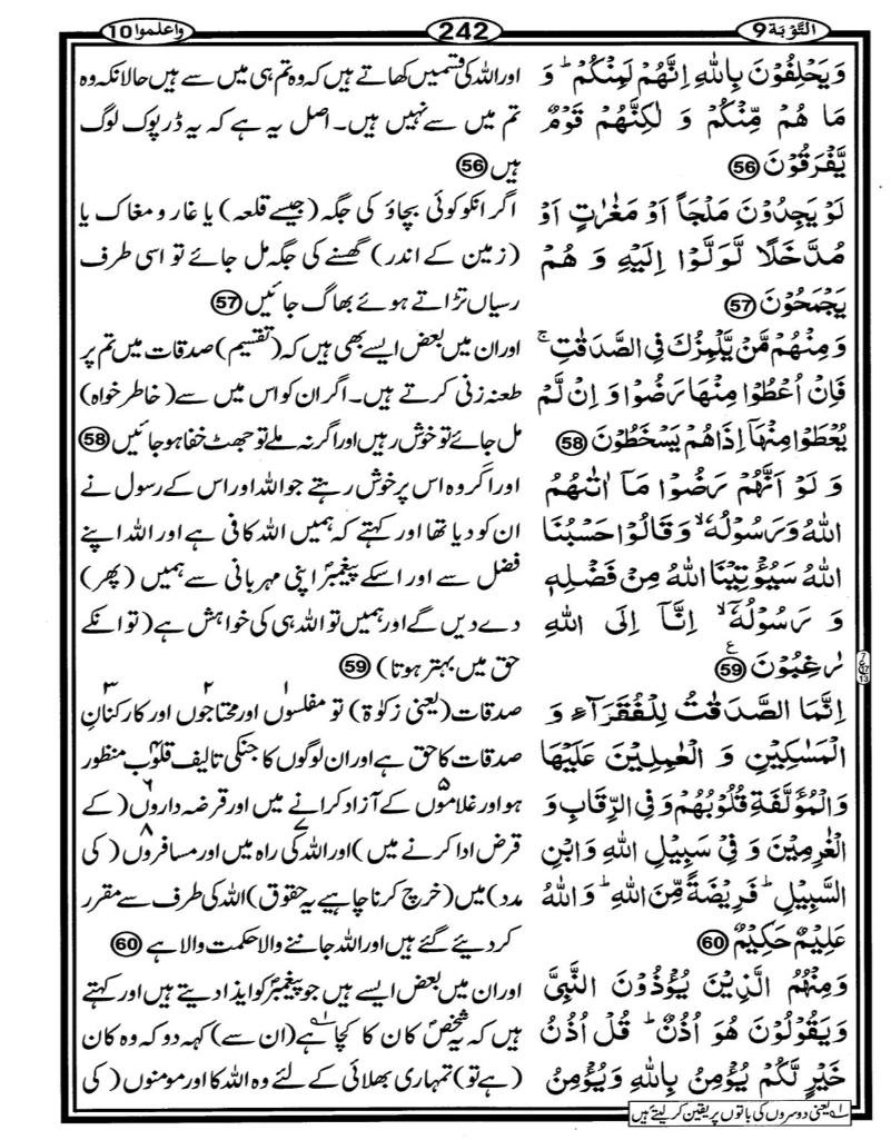 Quran Page - 242