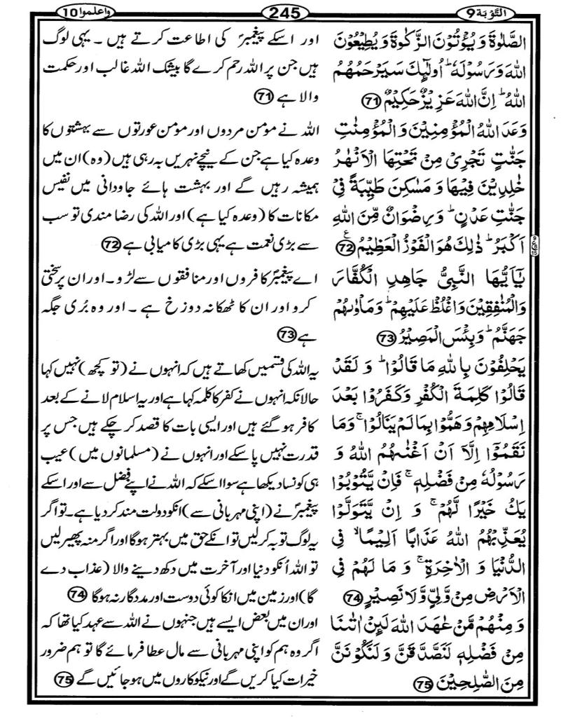 Quran Page - 245