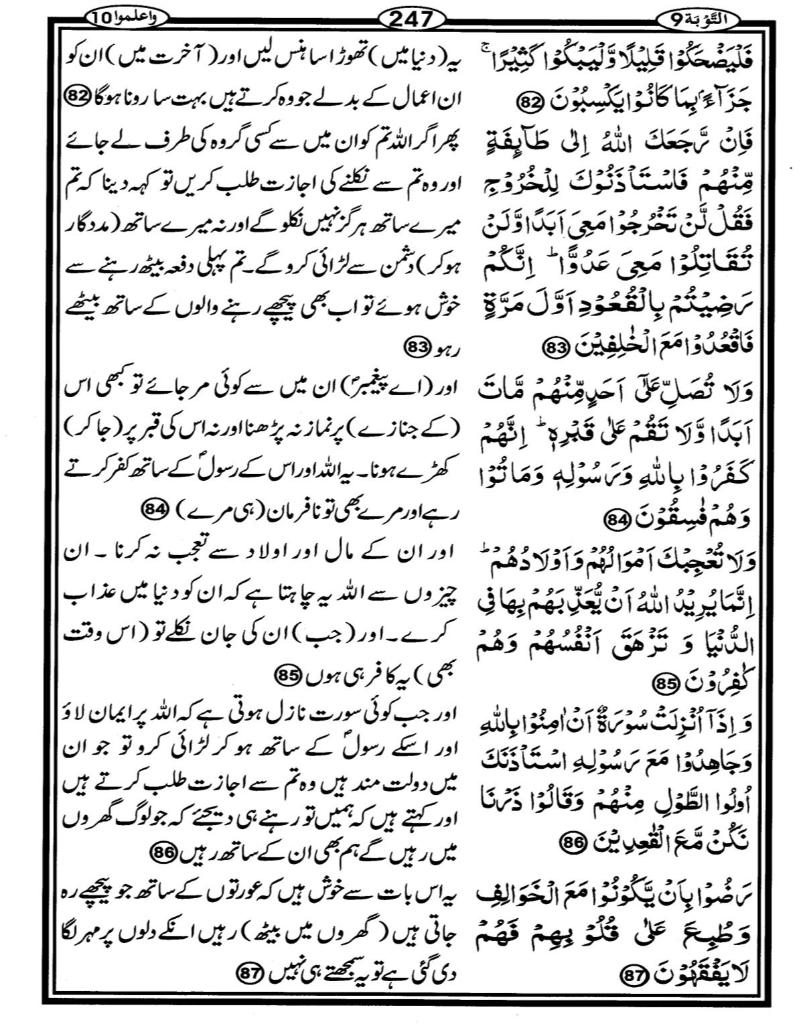 Quran Page - 247