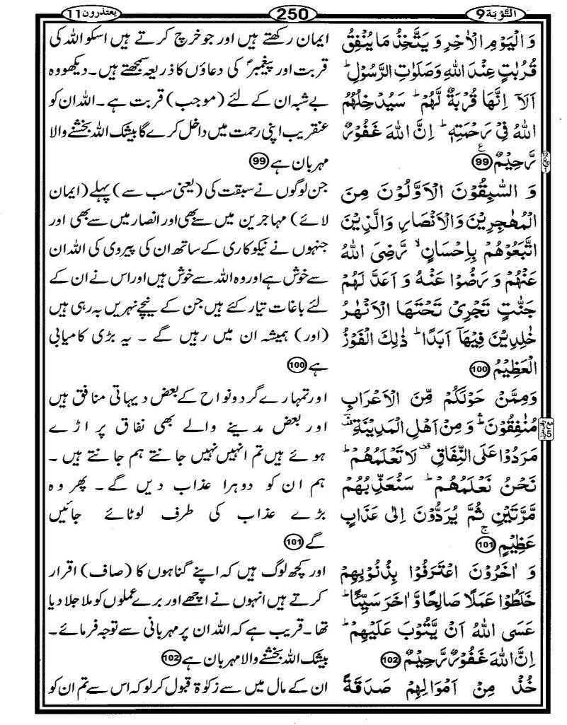 Quran Page - 250
