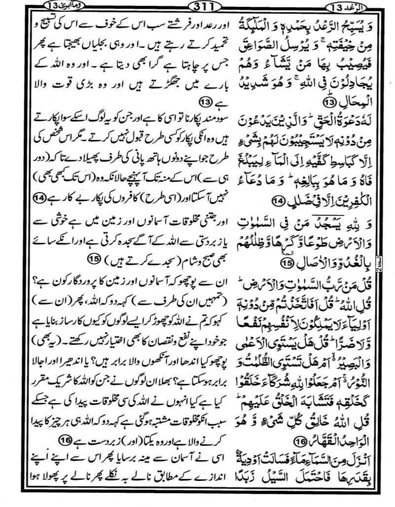 Quran Page - 311