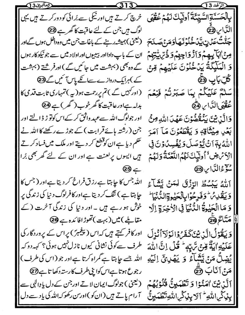 Quran Page - 313