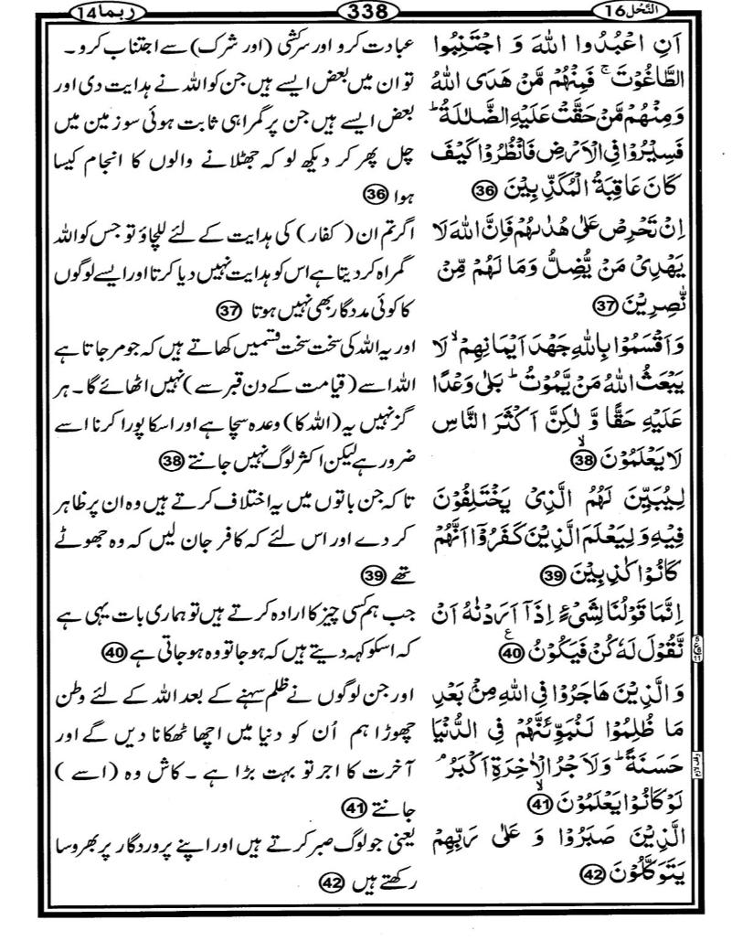 Quran Page - 338