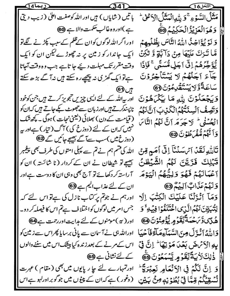 Quran Page - 341