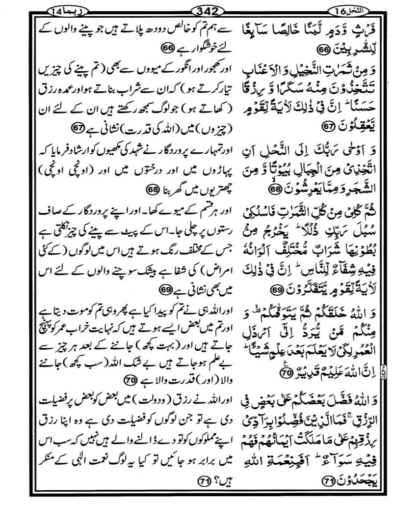 Quran Page - 342
