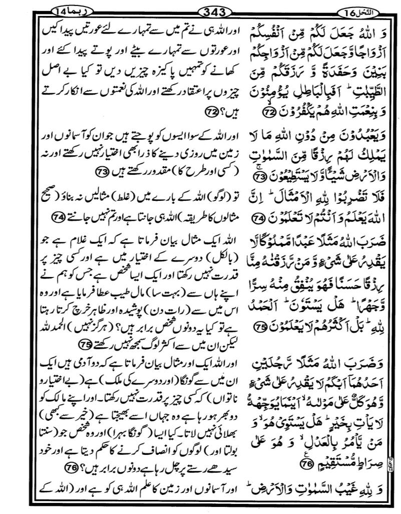 Quran Page - 343