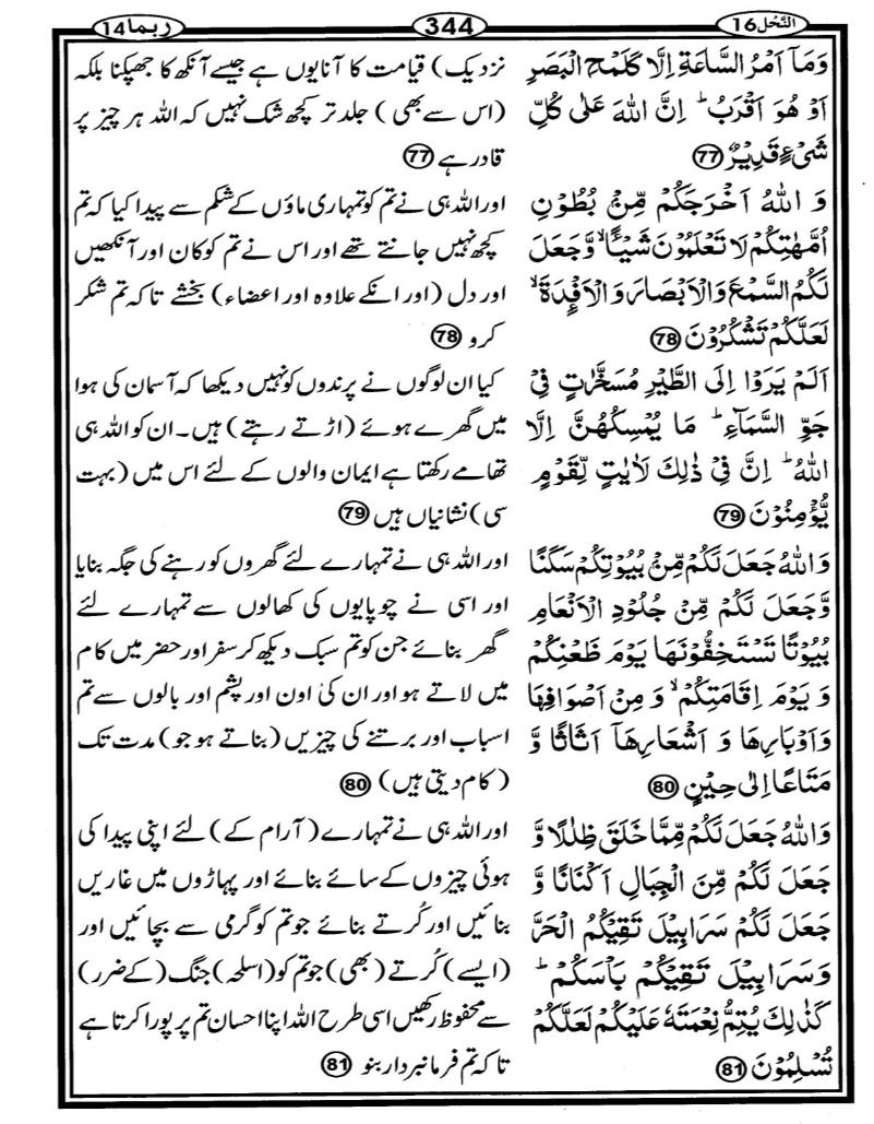 Quran Page - 344
