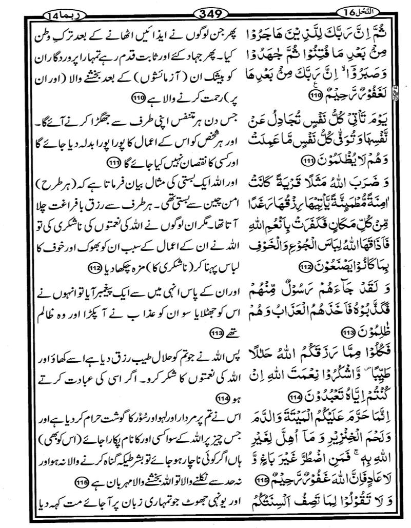 Quran Page - 349