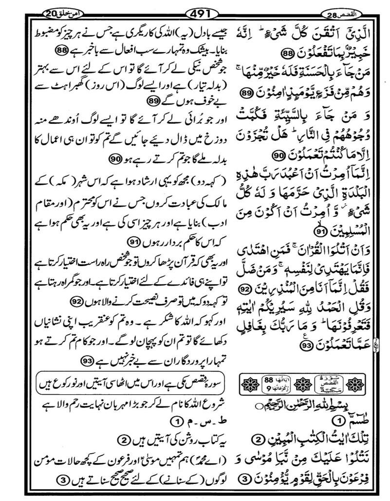 Quran Page - 491