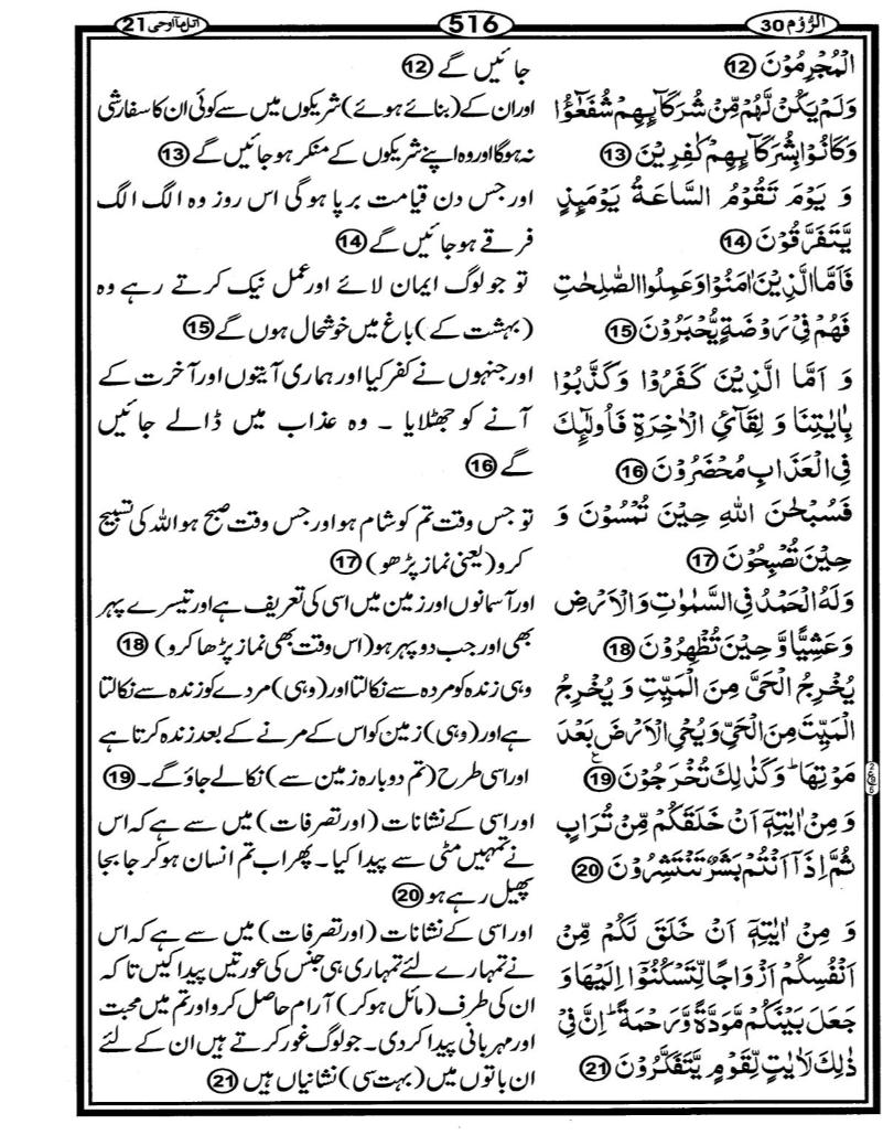 Quran Page - 516