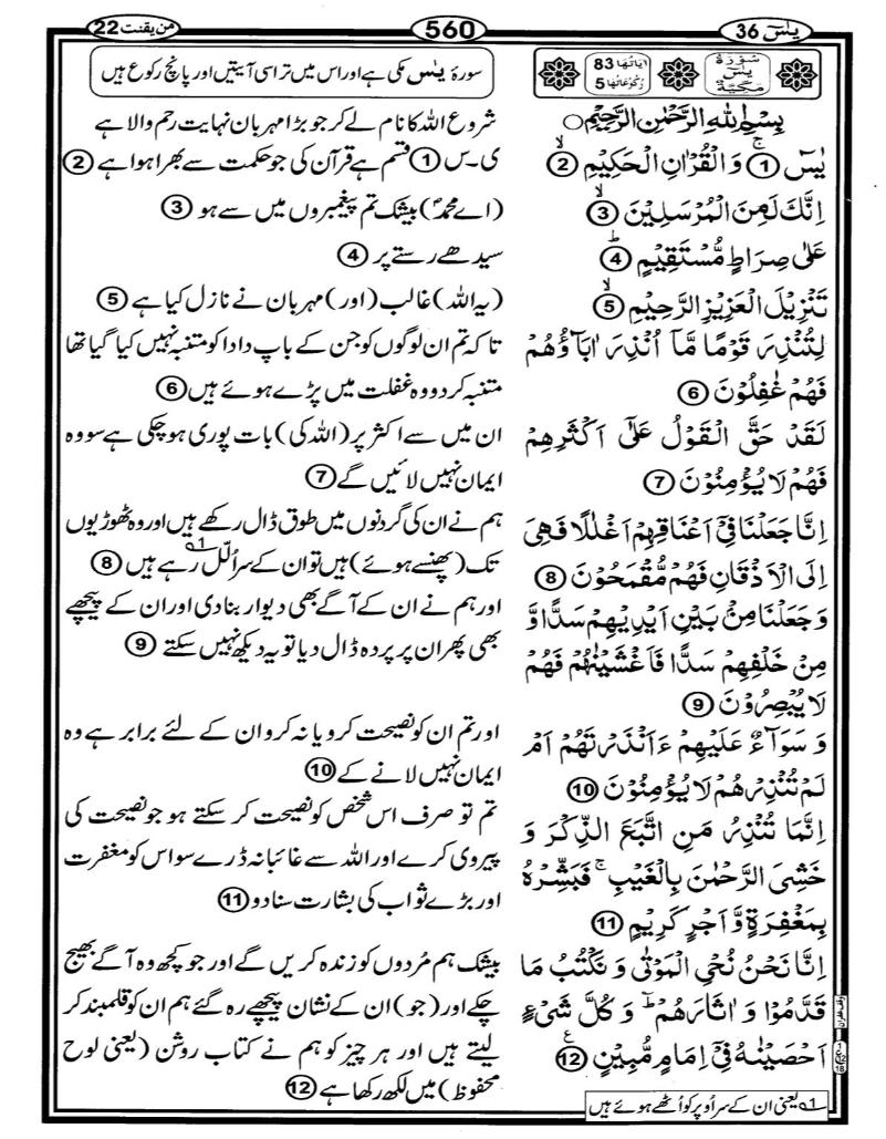 Quran Page - 560